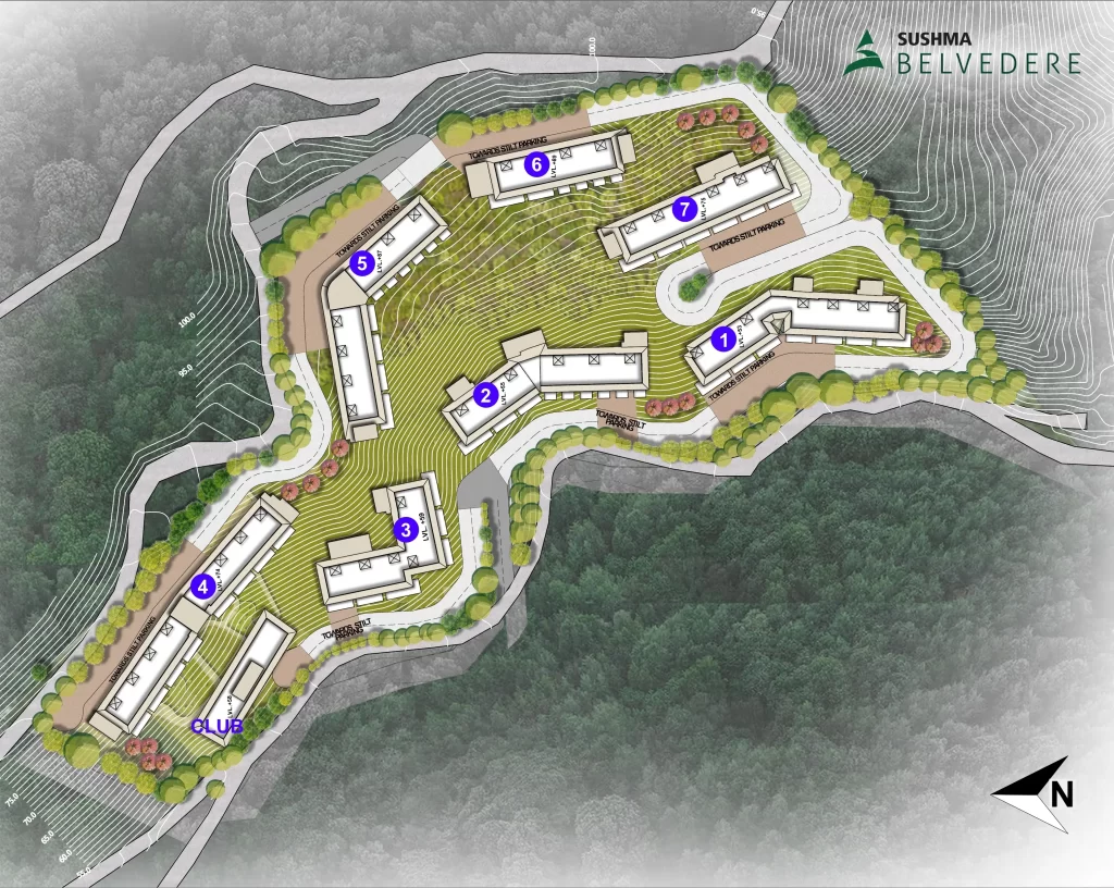 Belvedere Site Plan