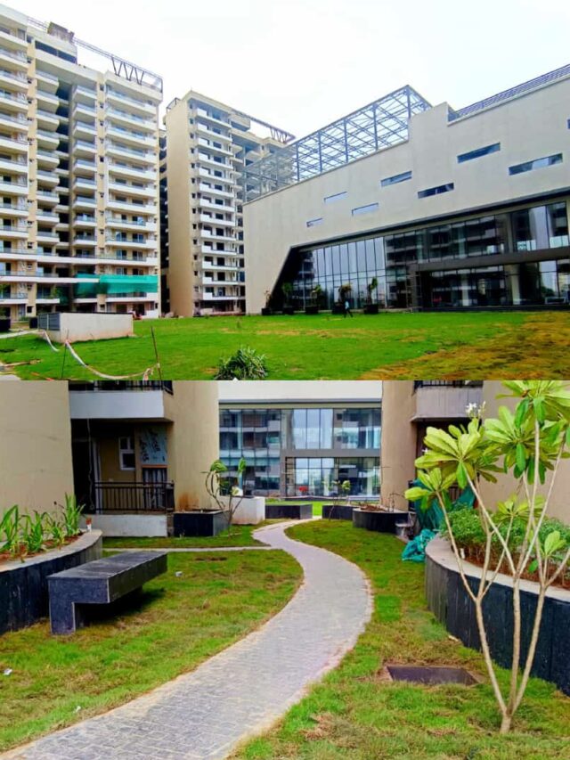 Sample Flat Green Lotus Utsav Airport Zirakpur